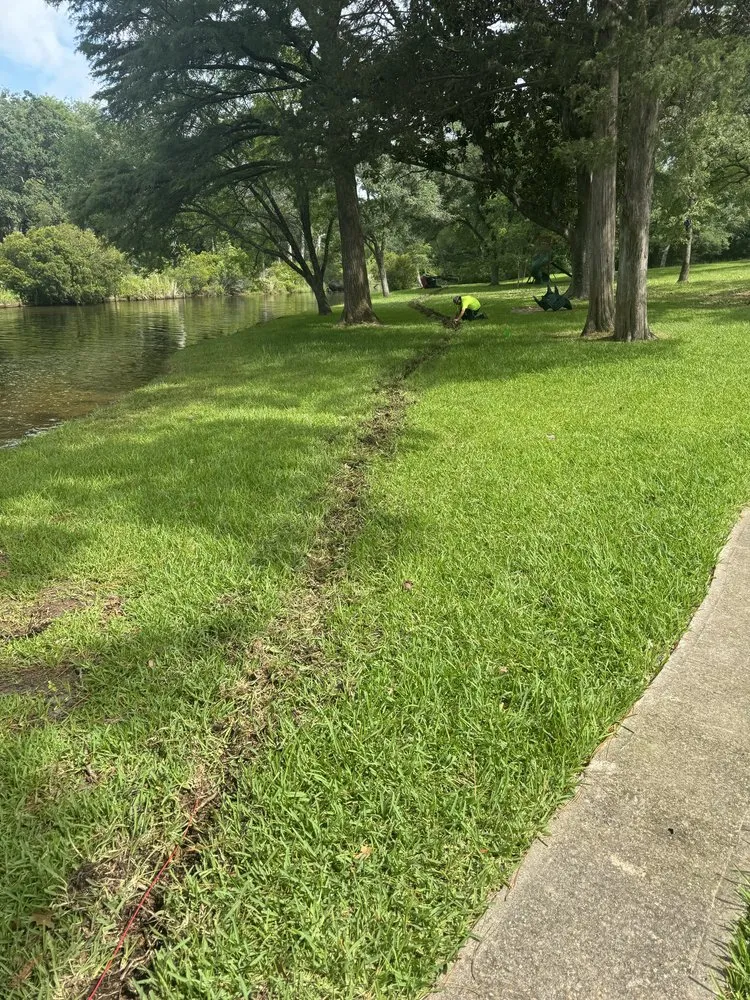 Affordable garden landscaping in Bryan, TX by C&C Lawn and Irrigation