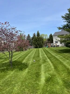 C&C Lawn and SnowScapes