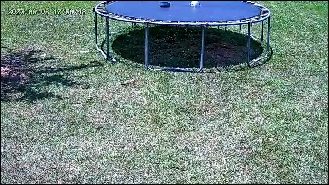 Top-rated landscape design in Prairieville, LA - C&C Lawn Care and More