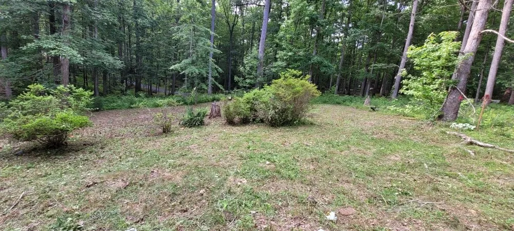 Reliable lawn care service for year-round maintenance in Bumpass, VA by C&C Lawn Care