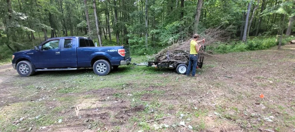 Local landscaping services in Bumpass, VA - C&C Lawn Care