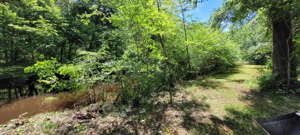 Reliable yard cleanup service for beautiful yards across Bumpass, VA - C&C Lawn Care