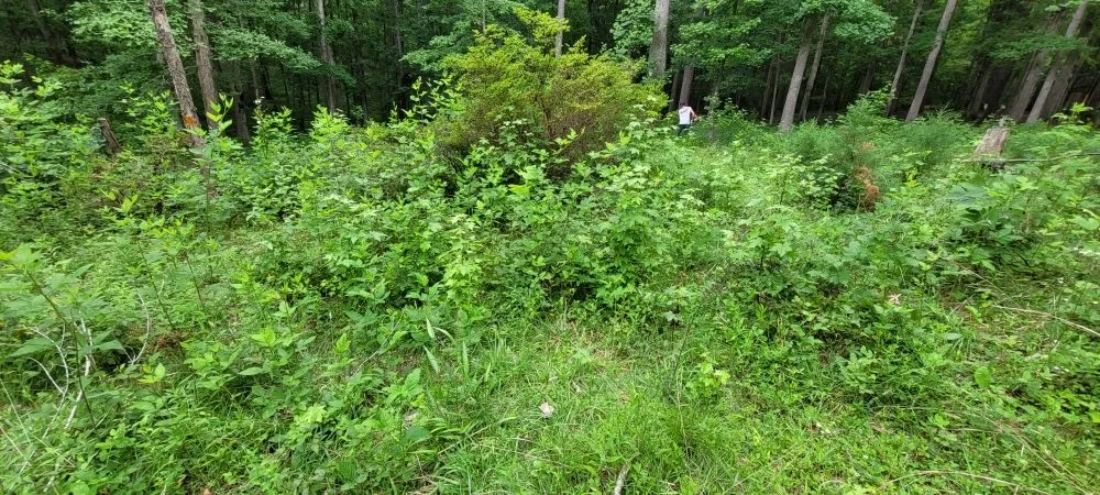 Affordable landscape installation in Bumpass, VA by C&C Lawn Care