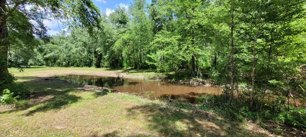 Custom landscape design in Bumpass, VA by C&C Lawn Care