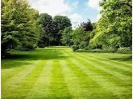 Reliable yard cleanup service in Toccoa, GA - C&C Lawn Care Business
