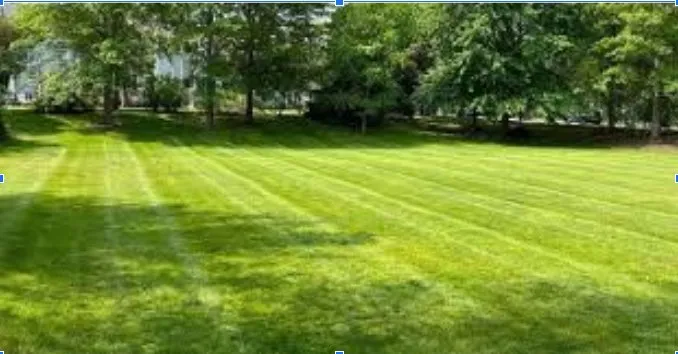 Top-rated yard cleanup service in Toccoa, GA by C&C Lawn Care Business