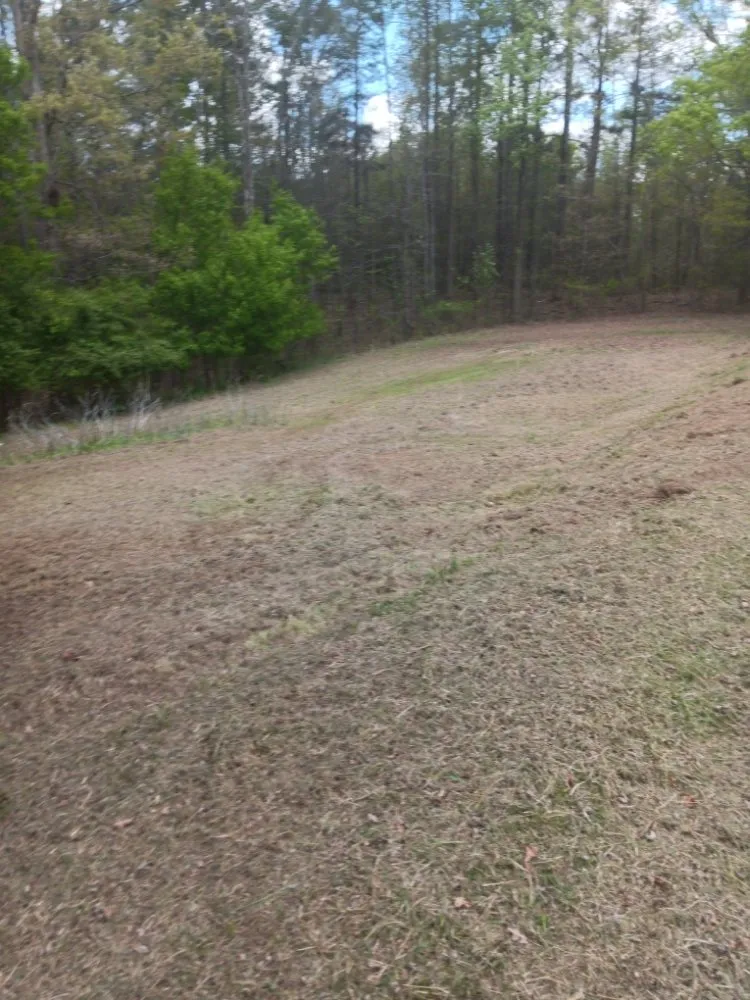 Affordable landscape design for homes in Toccoa, GA by C&C Lawn Care Business