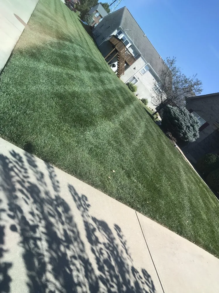 Affordable lawn mowing service in Florence, KY by C&C Lawn Care