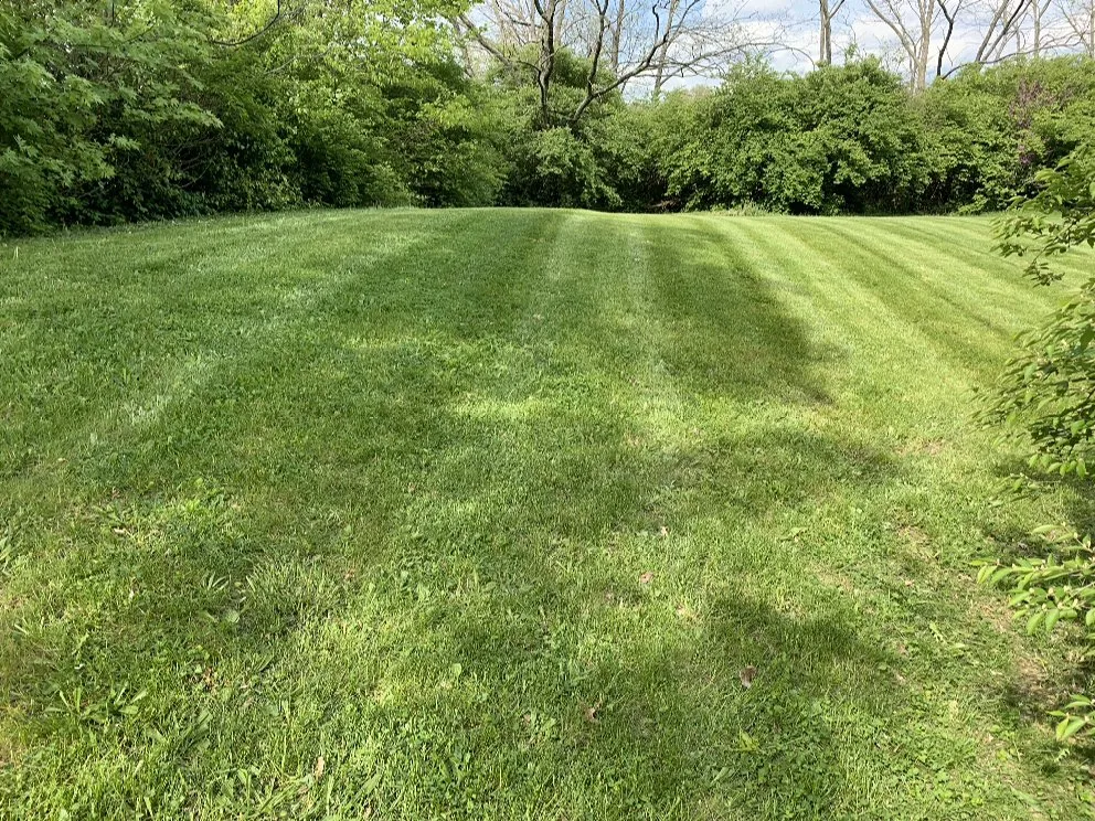 Custom residential landscaping for outdoor upgrades in Florence, KY by C&C Lawn Care