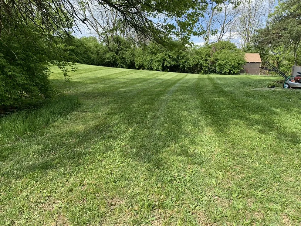 Top-rated lawn mowing service in Florence, KY - C&C Lawn Care