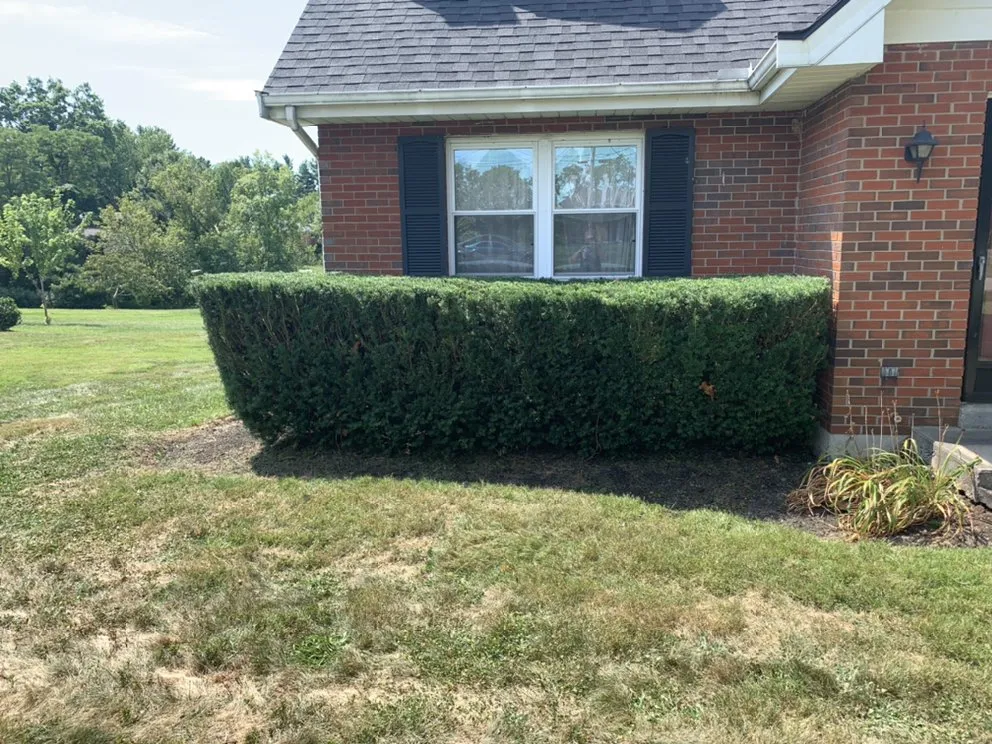 Trusted landscape installation in Florence, KY by C&C Lawn Care