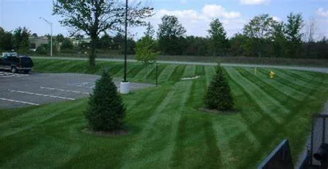 Reliable lawn care service in Salina, KS - C&C Lawn Care