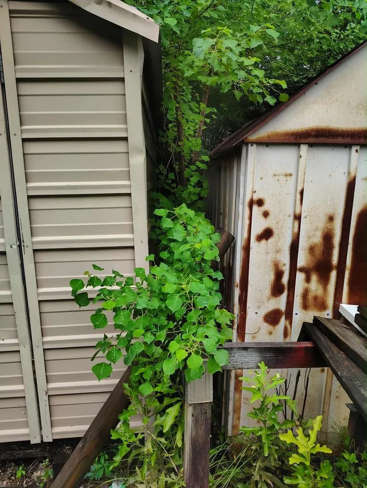 Professional yard cleanup service for outdoor upgrades in Goose Creek, SC by C&C Lawn Care Services and more