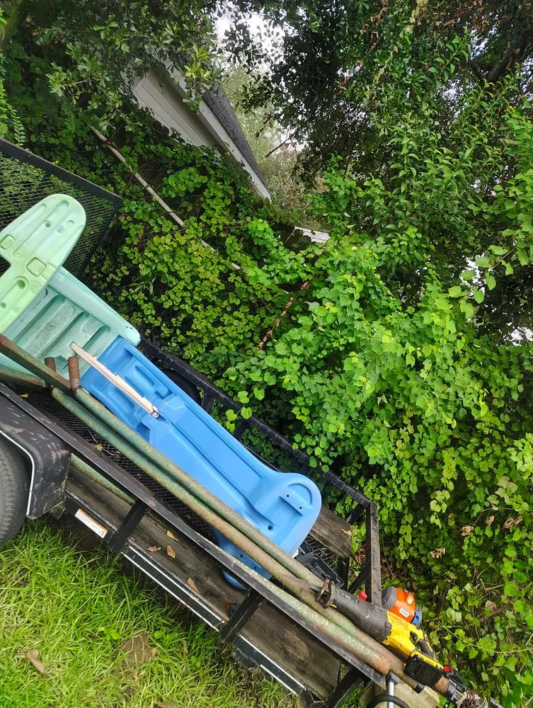 Professional outdoor landscaping for beautiful yards across Goose Creek, SC - C&C Lawn Care Services and more