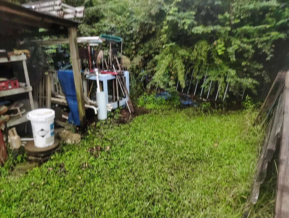 Local yard cleanup service in Goose Creek, SC - C&C Lawn Care Services and more