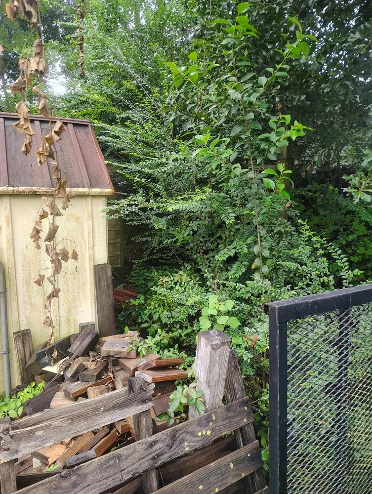 Affordable yard cleanup service with custom design across Goose Creek, SC - C&C Lawn Care Services and more