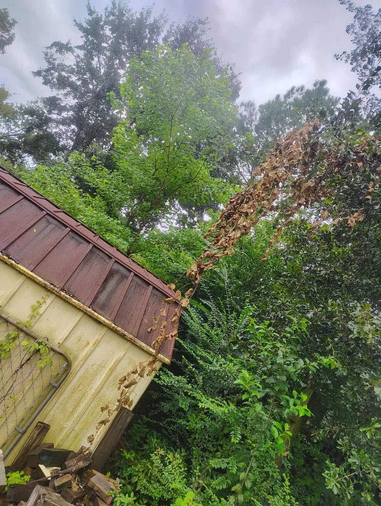 Top-rated landscaping services experts serving Goose Creek, SC - C&C Lawn Care Services and more