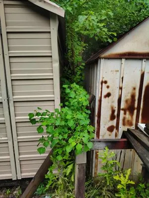 C&C Lawn Care Services and more Logo