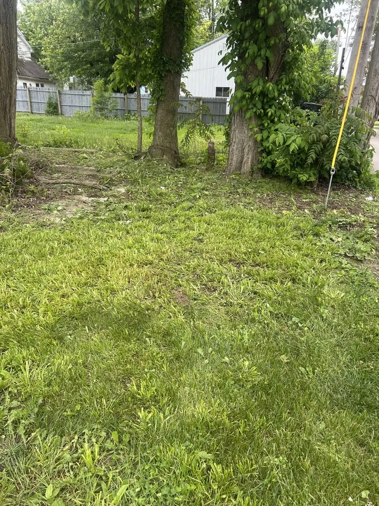 Expert yard cleanup service for homes in Versailles, OH by C&C Lawn Care
