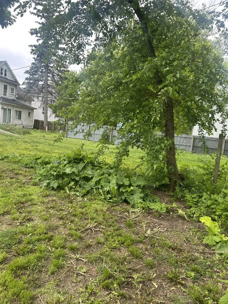 Professional lawn mowing service for outdoor upgrades in Versailles, OH by C&C Lawn Care