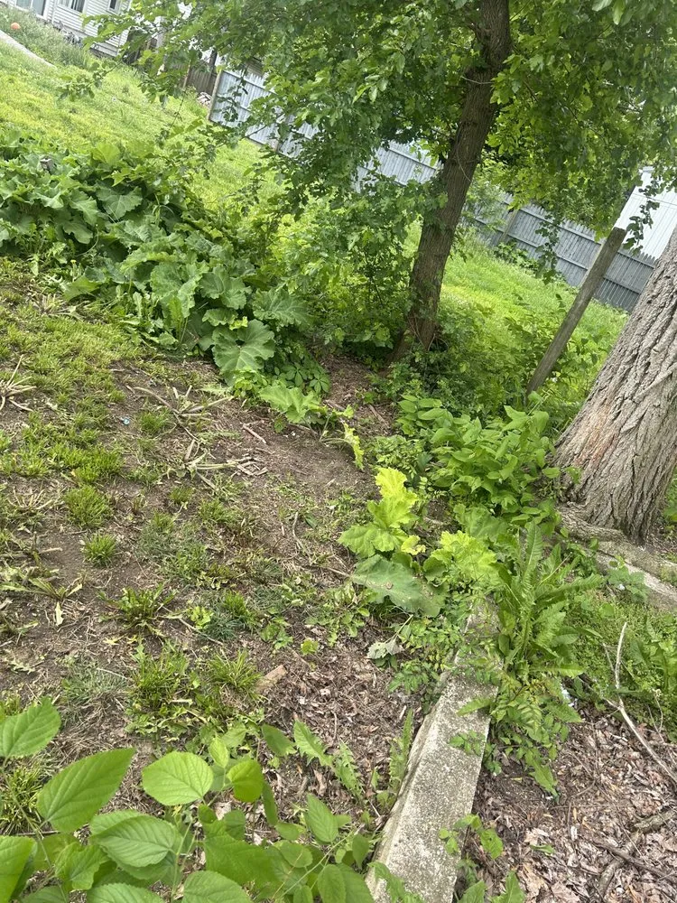 Custom lawn care service experts serving Versailles, OH - C&C Lawn Care