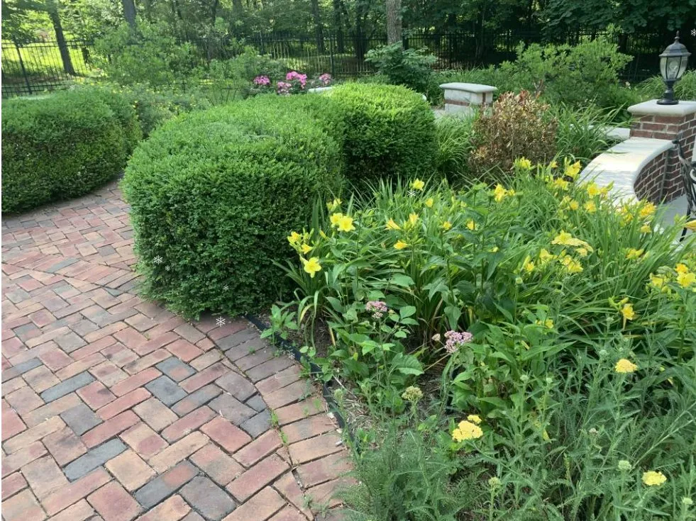 Professional outdoor landscaping for homes across Bloomington, IN - C&C Lawn Service