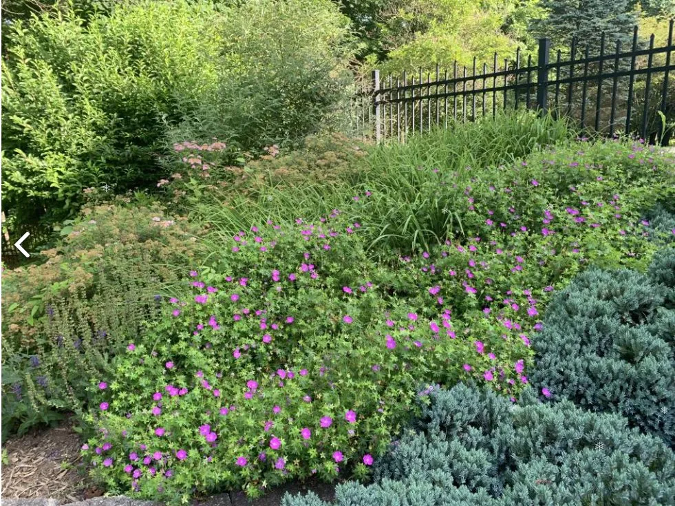 Trusted lawn mowing service experts serving Bloomington, IN - C&C Lawn Service