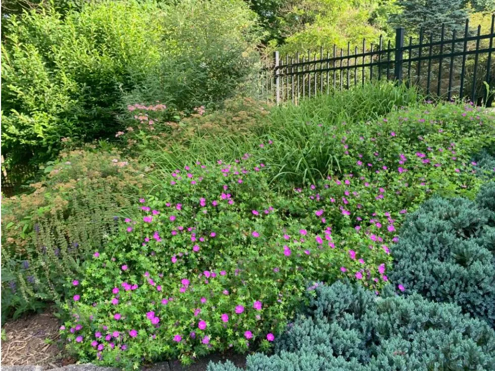 Top-rated landscape installation in Bloomington, IN - C&C Lawn Service