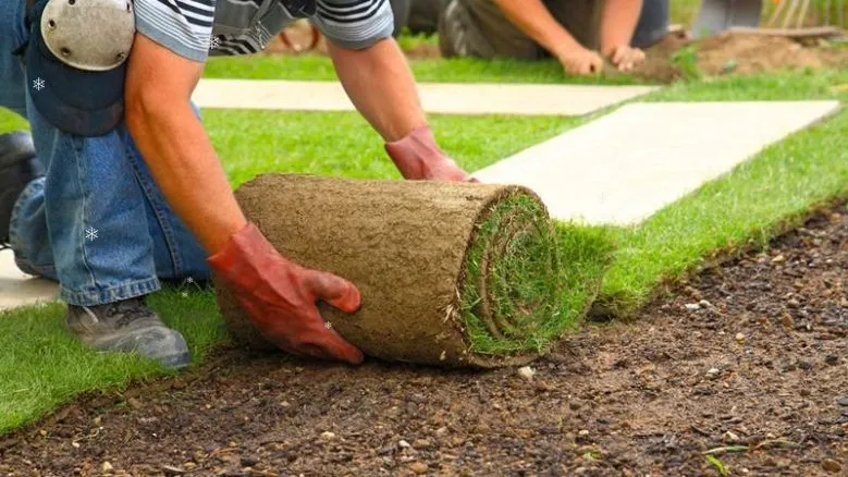 Trusted landscape installation in Bloomington, IN - C&C Lawn Service