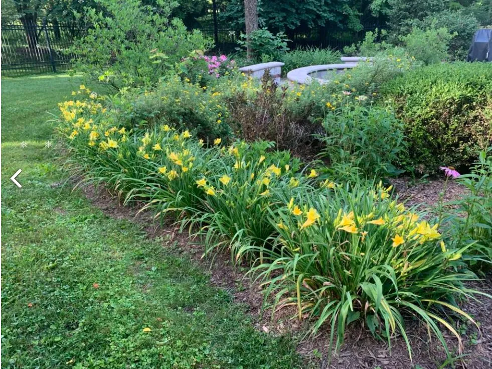 Expert lawn care service experts serving Bloomington, IN - C&C Lawn Service