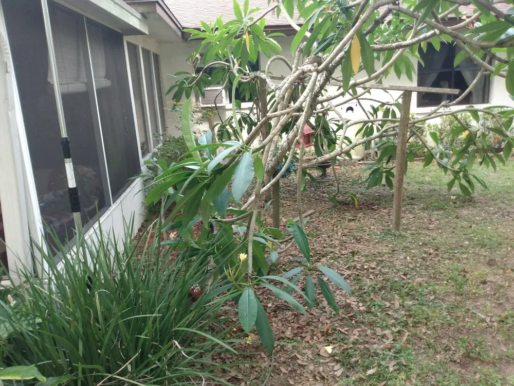 Expert landscape installation experts serving Lakeland, FL - C&C Lawn Service