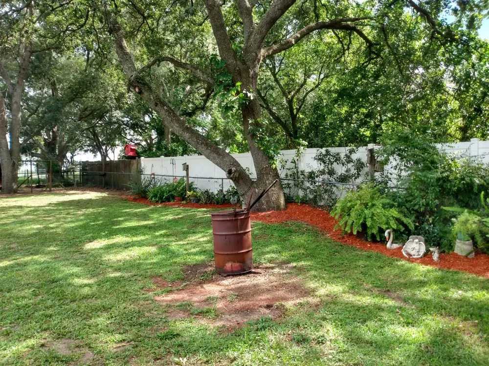 Affordable yard cleanup service in Lakeland, FL - C&C Lawn Service