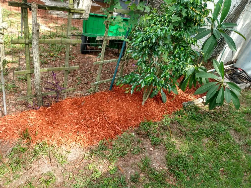 Expert yard cleanup service near you in Lakeland, FL by C&C Lawn Service