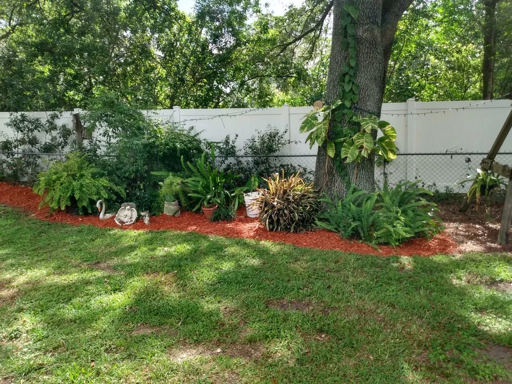 Professional landscaping services experts serving Lakeland, FL - C&C Lawn Service