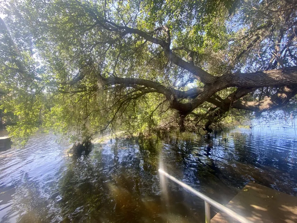 Trusted garden landscaping in Nokomis, FL - C&C Lawn Service