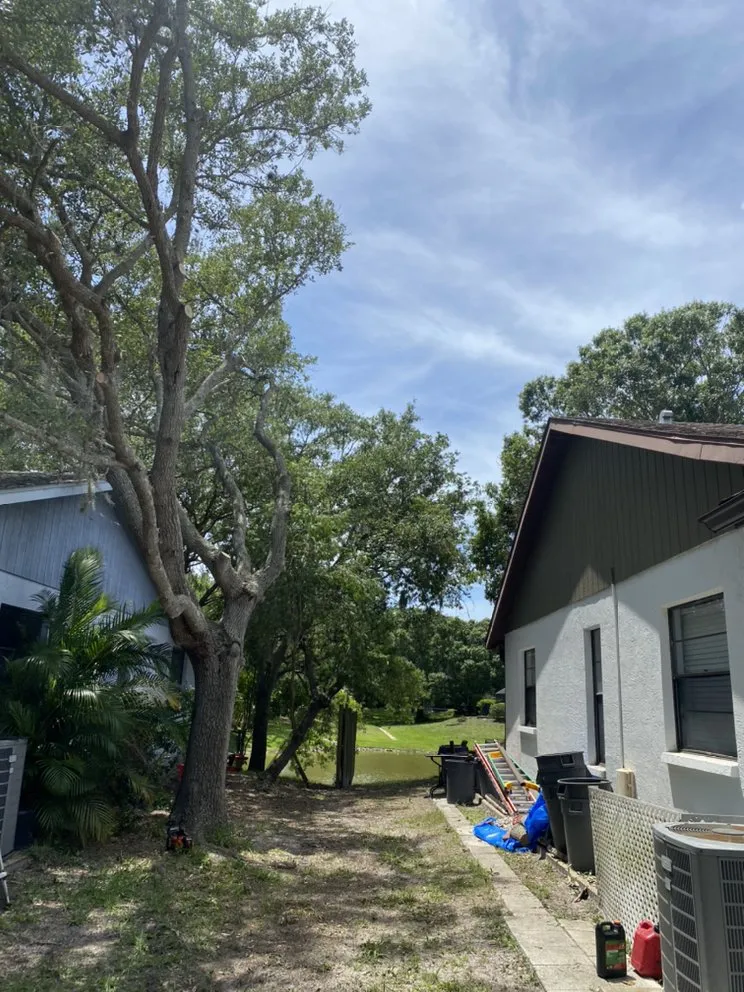 Local garden landscaping in Nokomis, FL by C&C Lawn Service