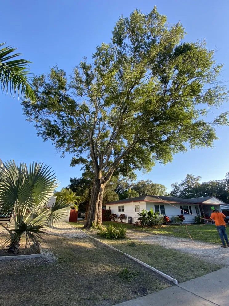 Trusted landscape design for year-round maintenance across Nokomis, FL - C&C Lawn Service