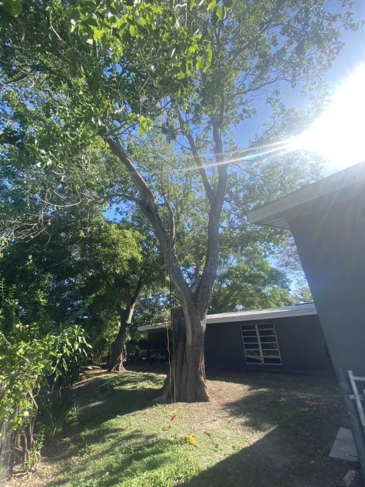 Local garden landscaping in Nokomis, FL - C&C Lawn Service