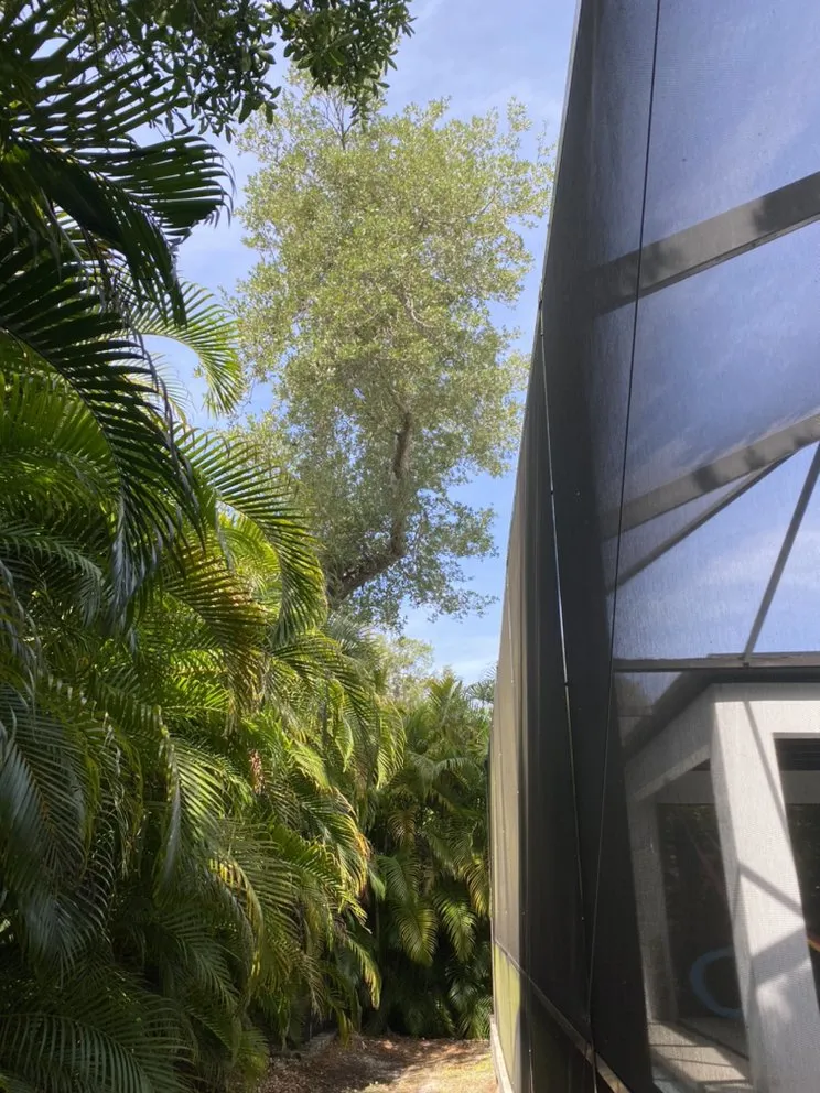 Custom outdoor landscaping experts serving Nokomis, FL - C&C Lawn Service