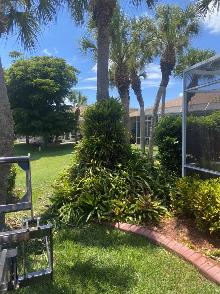 Affordable landscape design for year-round maintenance in Nokomis, FL by C&C Lawn Service