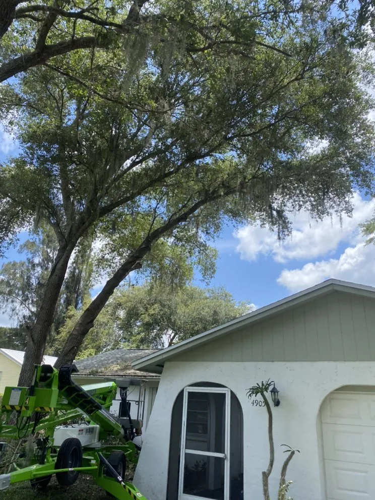 Professional landscape design in Nokomis, FL by C&C Lawn Service