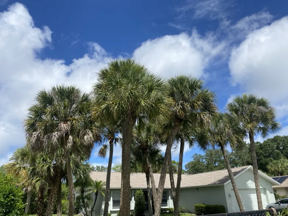 Custom outdoor landscaping with custom design in Nokomis, FL by C&C Lawn Service