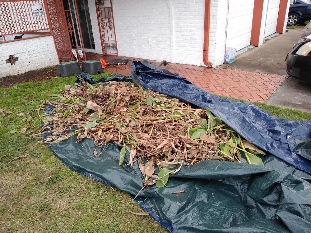 Top-rated yard maintenance for residential properties in Houston, TX by C&C Lawn Services