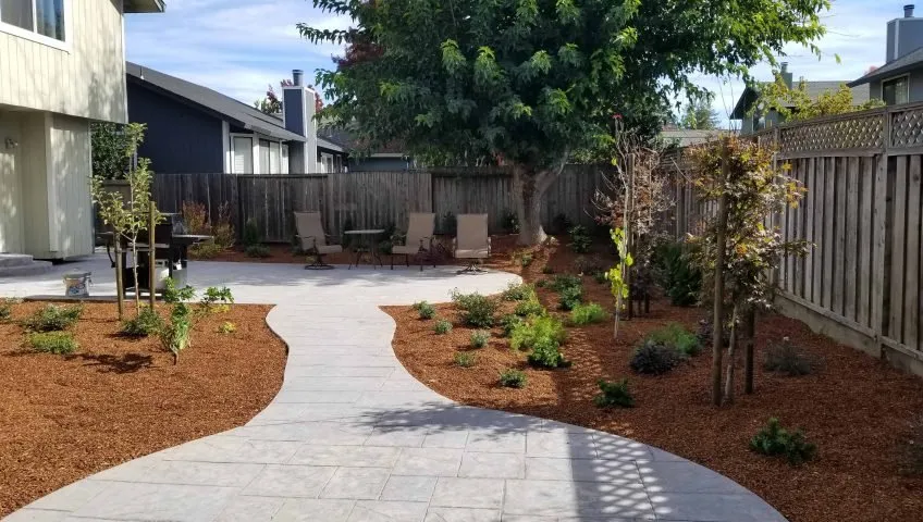 Expert landscaping services experts serving Houston, TX - C&C Lawn Services