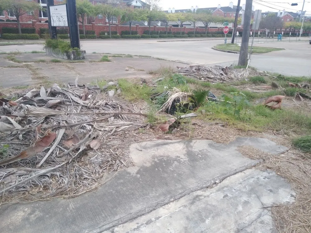 Top-rated landscape installation experts serving Houston, TX - C&C Lawn Services