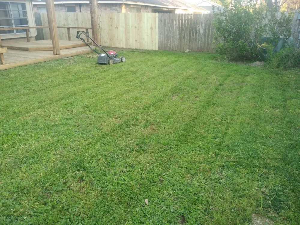 Trusted landscape design in Houston, TX - C&C Lawn Services