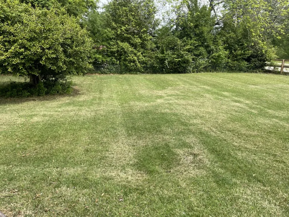 Trusted yard maintenance experts serving Commerce, GA - C&C Lawncare