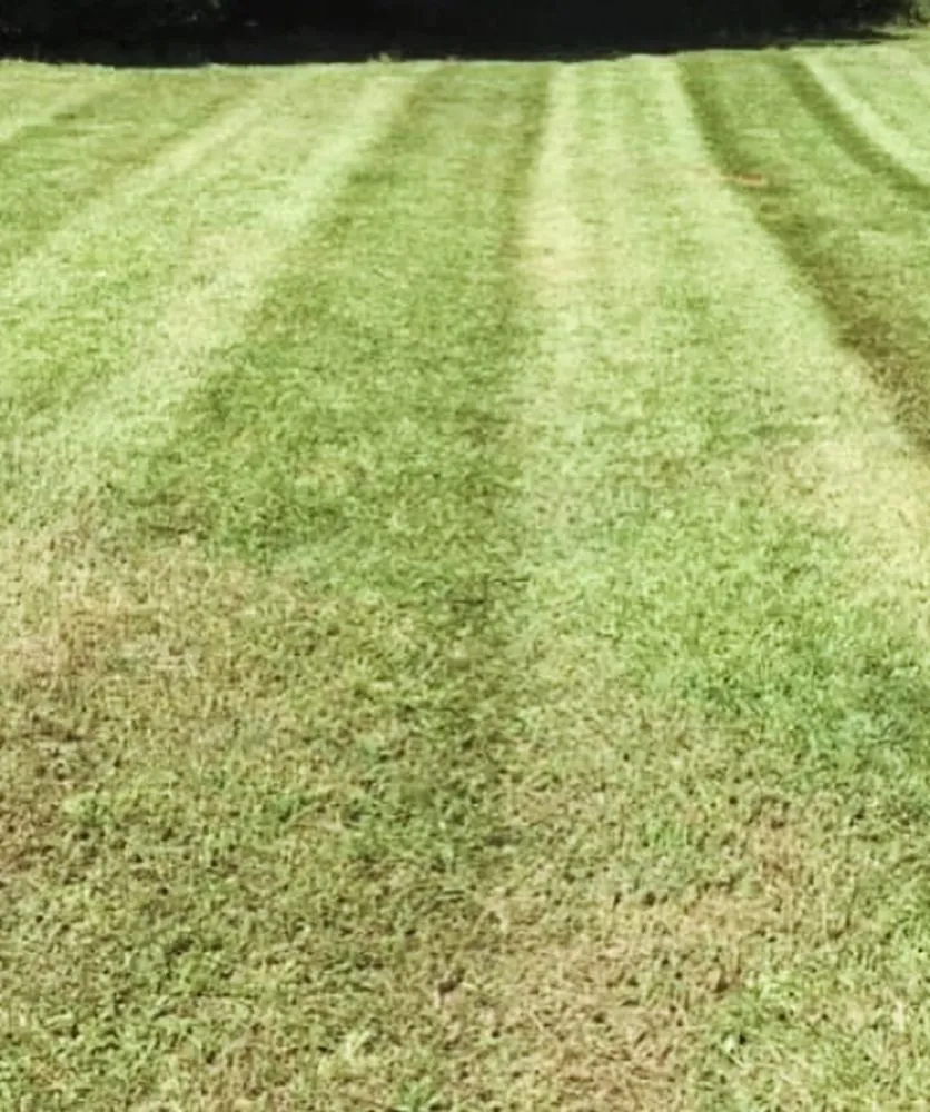 Reliable yard cleanup service in Commerce, GA - C&C Lawncare