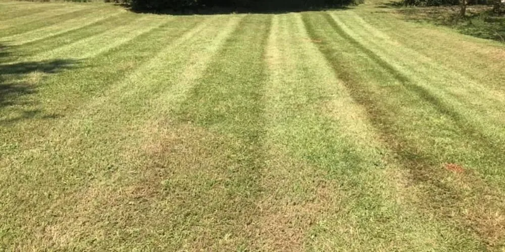 Trusted lawn care service experts serving Commerce, GA - C&C Lawncare