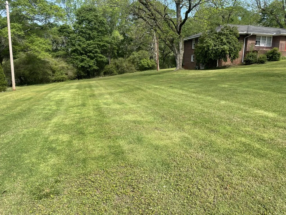 Top-rated outdoor landscaping in Commerce, GA - C&C Lawncare